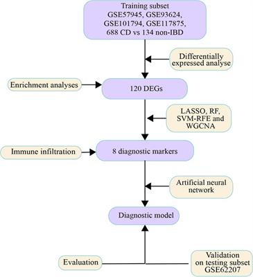 Pediatric Crohn's disease diagnosis aid via genomic analysis and machine learning